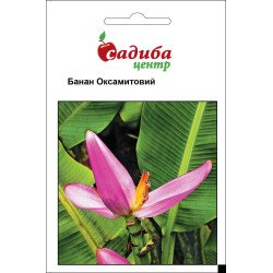 Банан бархатный /3 шт/ *Садыба*