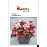 Бегонія Нахід F1 /10 гранул/ *Садиба*