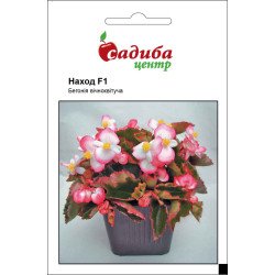 Бегонія Наход F1 /10 гранул/ *Садиба*