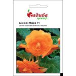 Бегония Шансон F1 медная /10 гранул/ *Садыба*