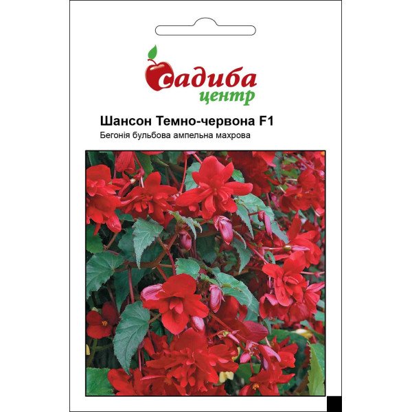 Семена бегонии Шансон F1 темно-красная /10 гранул/ *Садыба*