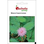 Мімоза Сором'язлива /0,2 г/ *Садиба*