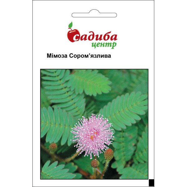 Семена мимозы Стеснительная /0,2 г/ *Садыба*