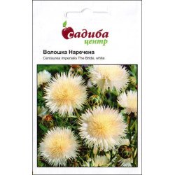 Василек Невеста /0,3 г/ *Садыба*