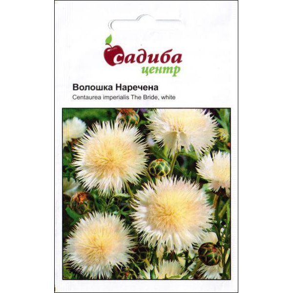 Насіння волошки Наречена /0,3 г/ *Садиба*