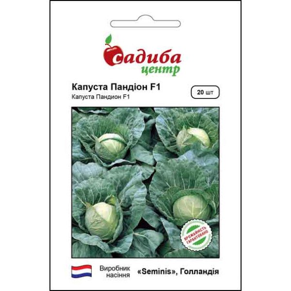 Насіння капусти білоголової Пандіон F1 /20 насінин/ *Садиба*