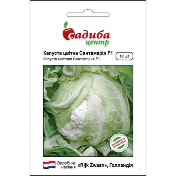 Насіння капусти цвітної Сантамарія F1 /10 насінин/ *Садиба*