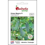Огурец Мадита F1 /10 семян/ *Садыба*