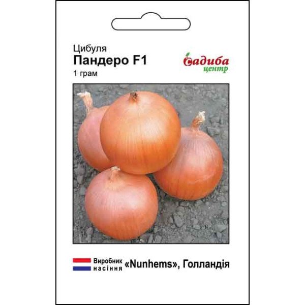 Насіння цибулі Пандеро F1 /1 г/ *Садиба*