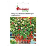 Клубника ананасная Рейнбоу F1 /10 семян/ *Садыба*