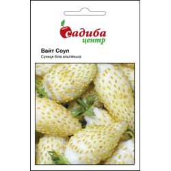 Суниця Вайт Соул /0,1 г/ *Садиба*