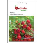 Суниця Регіна /0,2 г/ *Садиба*