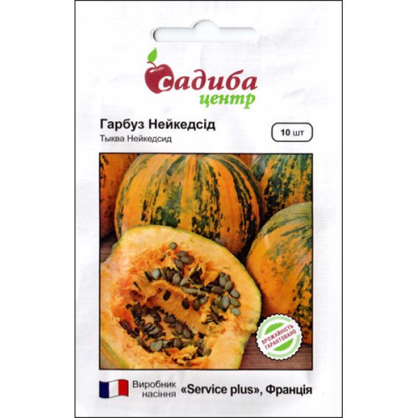 Семена тыквы Нейкедсид /10 семян/ *Садыба*
