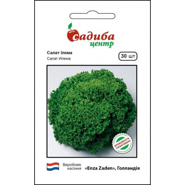Семена салата Илема /30 семян/ *Садыба*