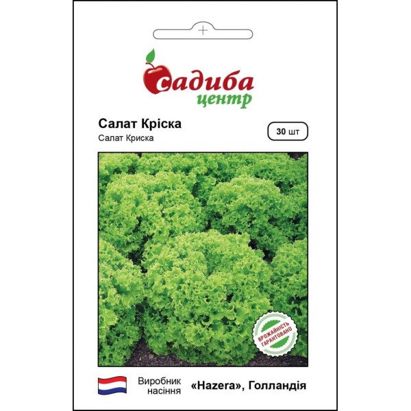 Семена салата Криска /30 семян/ *Садыба*