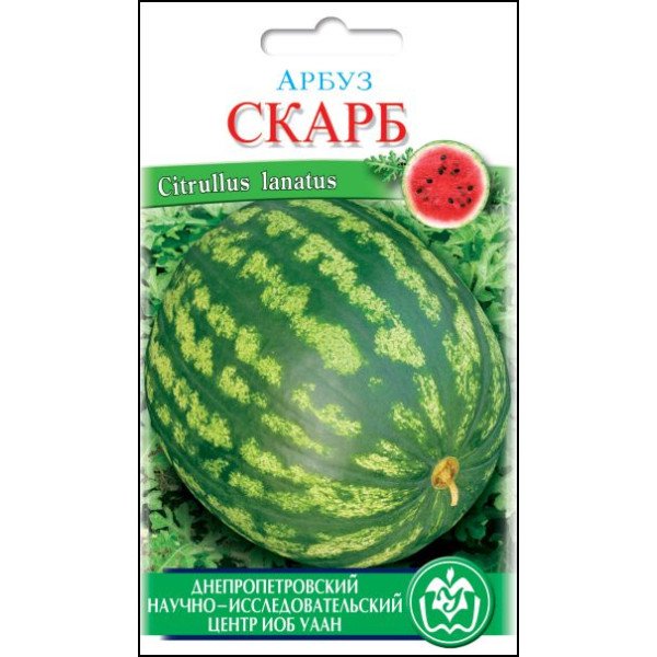 Семена арбуза Скарб /30 семян/ *Солнечный Март*