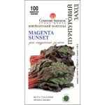 Мангольд Пурпуровий захід /100 насінин/ *Сонячний Березень*