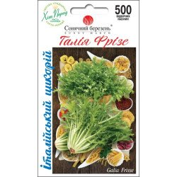 Цикорный салат эндивий Галия Фризе /500 семян/ *Солнечный Март*