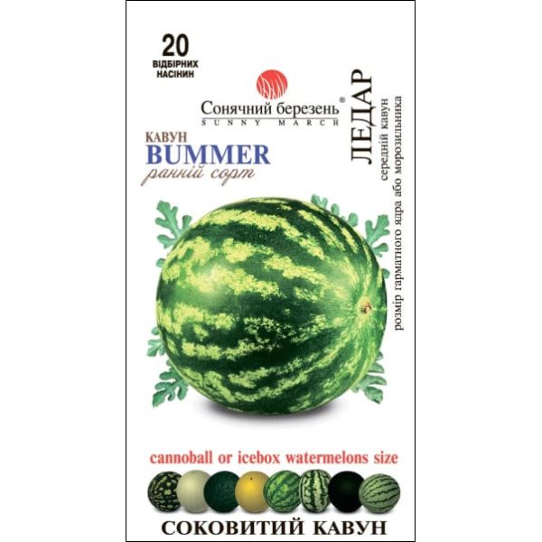 Насіння кавуна Ледар /20 насінин/ *Сонячний Березень*