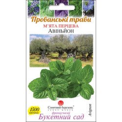 М'ята Авіньйон /1500 насінин/ *Сонячний Березень*