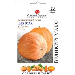 Тыква Большой Макс /20 семян/ *Солнечный Март*