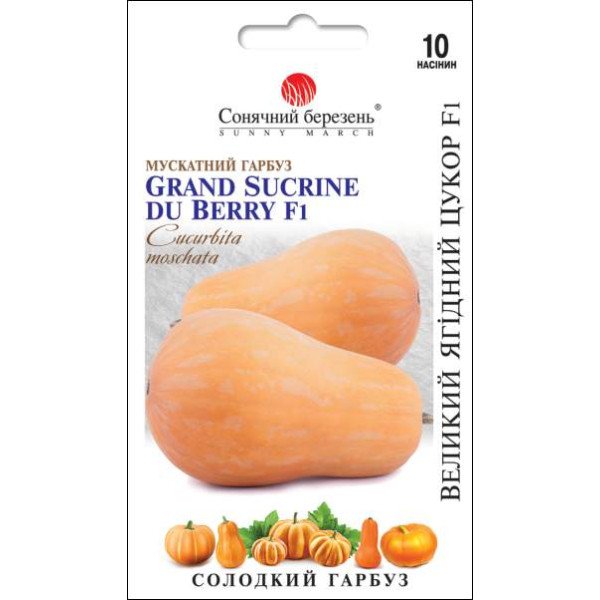 Насіння гарбуза Великий Ягідний Цукор /10 насінин/ *Сонячний Березень*