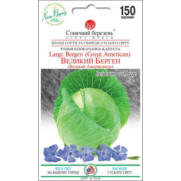 Насіння капусти білокачанної Великий Берген /150 насінин/ *Сонячний Березень*