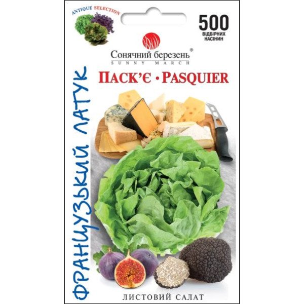 Семена салата Паскье /500 семян/ *Солнечный Март*