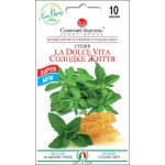 Стевия Сладкая жизнь /10 семян/ *Солнечный Март*