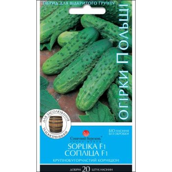 Огірок Соплиця F1 /20 насінин/ *Сонячний Березень*