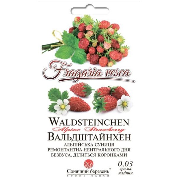 Семена земляники Вальдштайнхен /0,03 г/ *Солнечный Март*