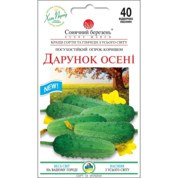 Семена огурца Подарок осени /40 семян/ *Солнечный Март*