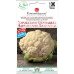 Капуста цвітна Наполетано Дженнарезе /100 насінин/ *Сонячний Березень*