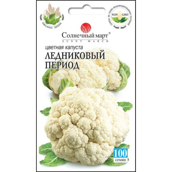Семена капусты цветной Ледниковый период /100 семян/ *Солнечный Март*