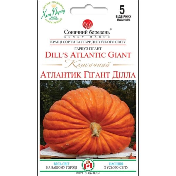 Семена тыквы Атлантик Классическая /5 семян/ *Солнечный Март*