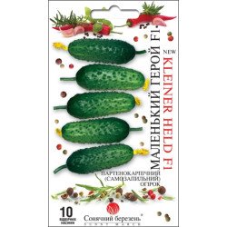 Огурец Маленький Герой F1 /10 семян/ *Солнечный Март*