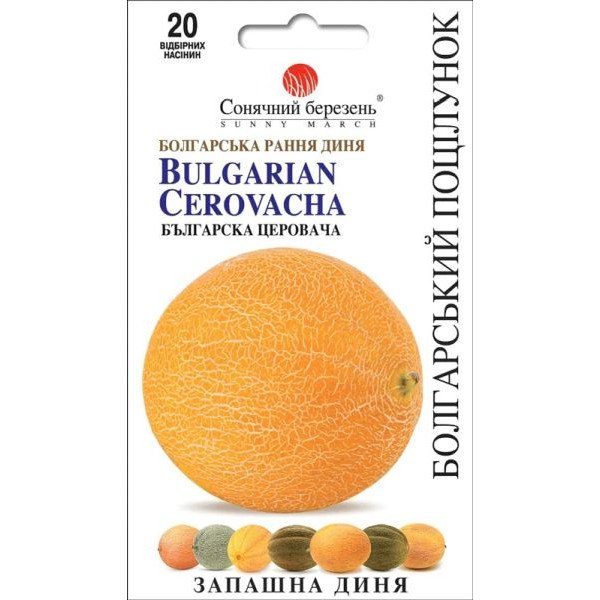 Семена дыни Болгарский поцелуй /20 семян/ *Солнечный Март*