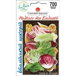Цикорний салат Радіччіо та Ендивій суміш /700 насінин/ *Сонячний Березень*