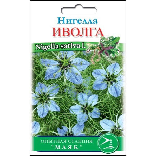 Семена нигеллы Иволга /0,3 г/ *Солнечный Март*
