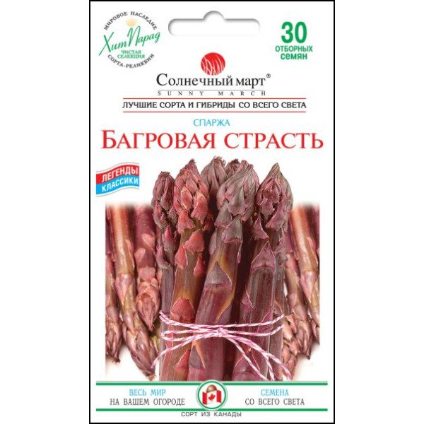 Семена спаржи Багровая страсть /30 семян/ *Солнечный Март*