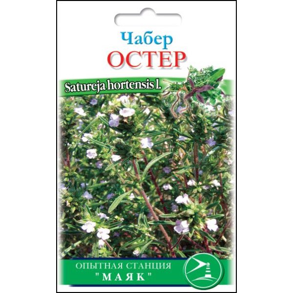 Семена чабера Остер /0,4 г/ *Солнечный Март*