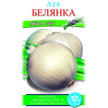 Лук Белянка /300 семян/ *Солнечный Март*