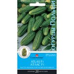 Огурец Атлас F1 /20 семян/ *Солнечный Март*