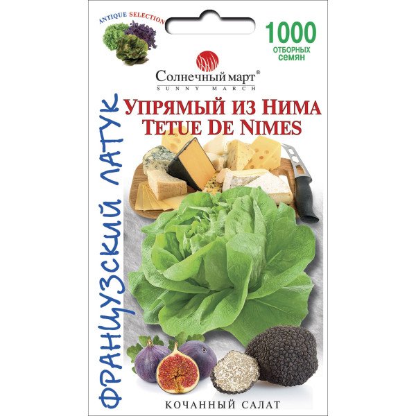 Насіння салату Упертий з Німа /1000 насінин/ *Сонячний Березень*