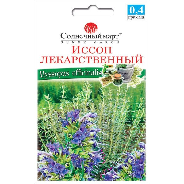 Насіння гісопу /0,4 г/ *Сонячний Березень*
