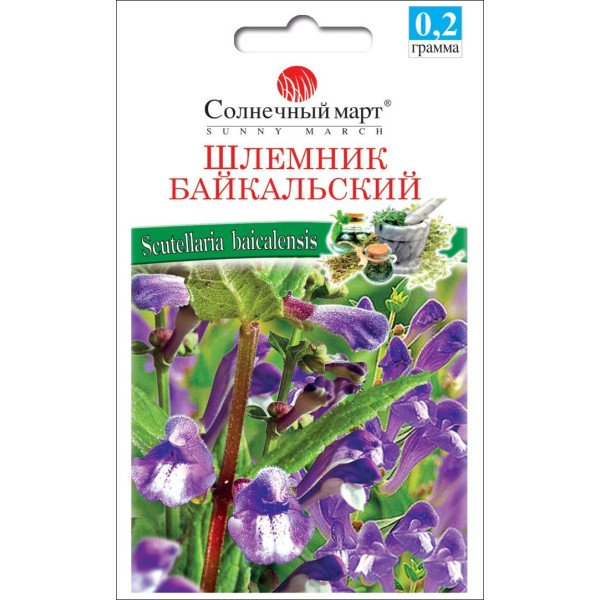 Семена шлемника байкальского /0,2 г/ *Солнечный Март*