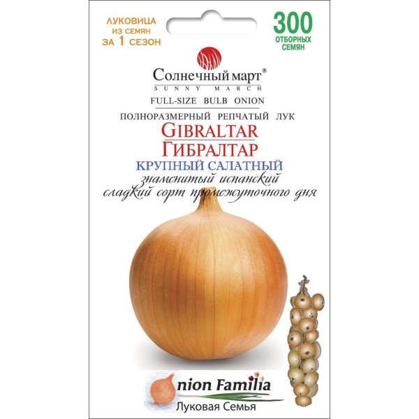Насіння цибулі Гібралтар /300 насінин/ *Сонячний Березень*