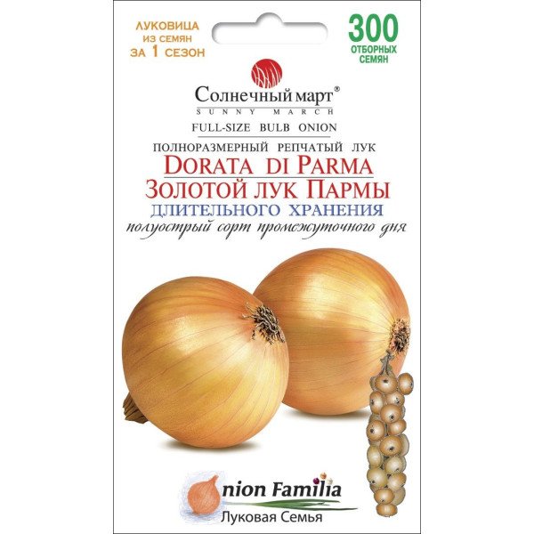 Насіння цибулі Золота цибуля Парми /300 насінин/ *Сонячний Березень*