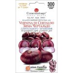 Цибуля Зима Чертальдо /300 насінин/ *Сонячний Березень*