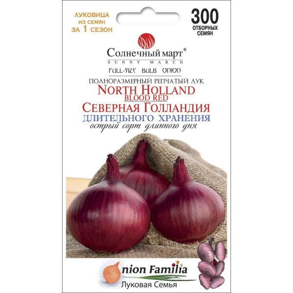 Насіння цибулі Північна Голландія /300 насінин/ *Сонячний Березень*